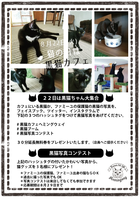 黒猫写真コンテスト結果発表ーーー Hemingway