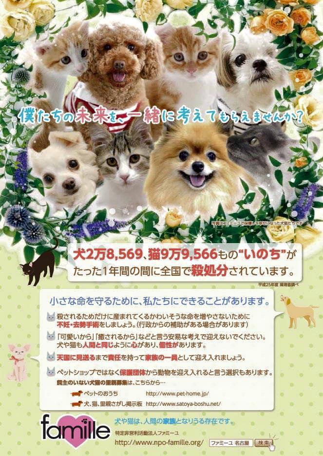 Npoファミーユ 名古屋の動物愛護団体