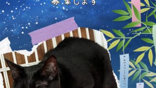七夕祭　猫川柳＆願い事　大募集！！
