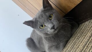 📢卒業のお知らせ📢