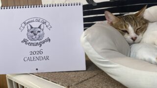 🗓2026年カレンダー出来上がりました🗓